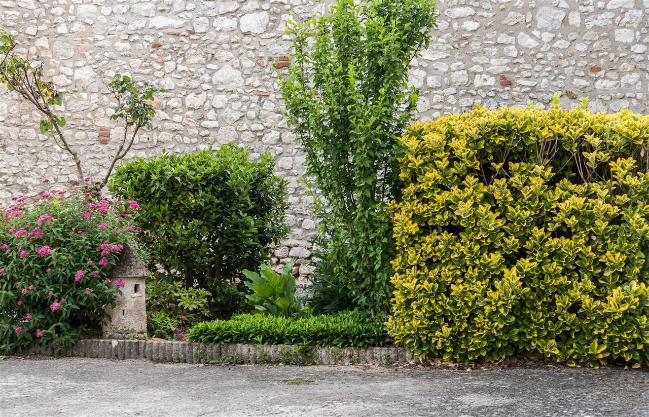 Auberge Le Cygne De La Croix Blanche Lailly-en-Val Extérieur photo